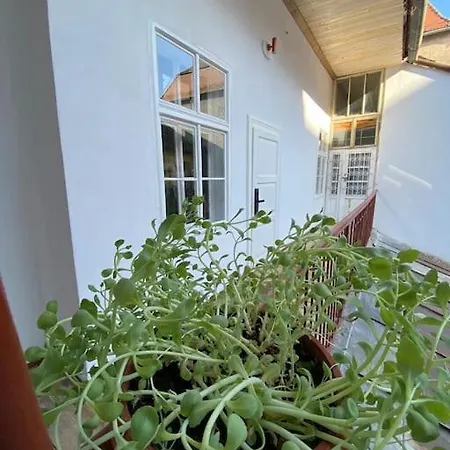 Cozy Center Studio * Sibiu